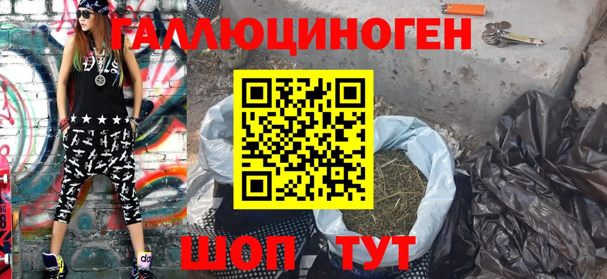 Галлюциногенные грибы Psilocybine cubensis Волоколамск